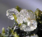 Österreich Mineralien Söllnkar Apatit