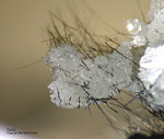 Österreich Mineralien Söllnkar Calcit