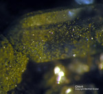 Österreich Mineralien Söllnkar Chlorit