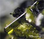 Österreich Mineralien Söllnkar Epidot