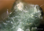 Österreich Mineralien Söllnkar Byssolith
