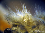 Österreich Mineralien Söllnkar Byssolith
