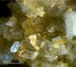Österreich Mineralien Söllnkar Muskovit