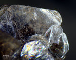 Österreich Mineralien Söllnkar Muskovit