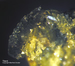 Österreich Mineralien Söllnkar Sphen Titanit