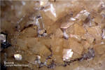 Sauerland Mineralien Ramsbeck Dolomit