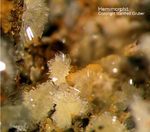 Sauerland Mineralien Ramsbeck Hemimorphit