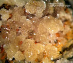 Sauerland Mineralien Ramsbeck Hemimorphit