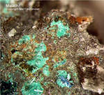 Sauerland Mineralien Ramsbeck Malachit