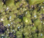 Sauerland Mineralien Ramsbeck Pyromorphit