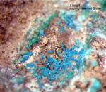 Sauerland Mineralien Ramsbeck Langit