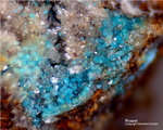 Sauerland Mineralien Ramsbeck Rosasit