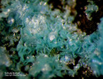 Sauerland Mineralien Ramsbeck Schulenbergit