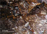 Sauerland Mineralien Ramsbeck Schwefel