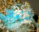 Sauerland Mineralien Ramsbeck Serpierit