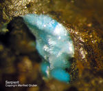 Sauerland Mineralien Ramsbeck Serpierit