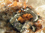 Sauerland Mineralien Ramsbeck Siderit