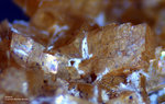 Sauerland Mineralien Ramsbeck Siderit
