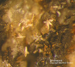 Sauerland Mineralien Ramsbeck Smithsonit