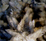Harz Mineralien Gabbro Calcit