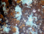 Mineralien Harz Glockenhütte Anglesit
