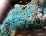 Harz Mineralien Glockenhütte Aurichalcit