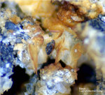 Harz Mineralien Glockenhütte Baryt