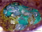 Harz Mineralien Glockenhütte Cerussit