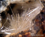 Harz Mineralien Juliushütte Astfeld Gips