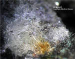 Harz Mineralien Lautenthal Aragonit