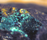 Harz Mineralien Lauthental Brochantit