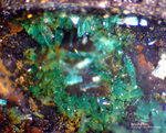 Harz Mineralien Lauthental Brochantit
