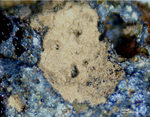 Harz Mineralien Lautenthal Jarosit