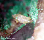 Harz Mineralien Oberschulenberg Glücksrad Cerussit
