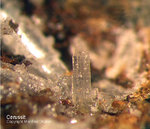Harz Mineralien Oberschulenberg Glücksrad Cerussit