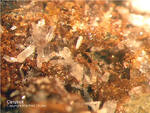 Harz Mineralien Oberschulenberg Glücksrad Cerussit