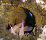 Harz Mineralien Oberschulenberg Glücksrad Cerussit