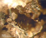 Eifel Mineralien Bellerberg Apatit