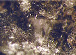 Eifel Mineralien Bellerberg Mullit weiß