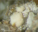 Eifel Mineralien Bellerberg Mullit weiß