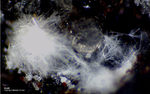Eifel Mineralien Bellerberg Mullit weiß