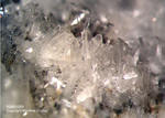 Eifel Mineralien Bellerberg Natrolith
