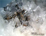 Eifel Mineralien Bellerberg Natrolith