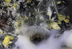 Eifel Mineralien Bellerberg Narsarsukit