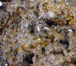 Eifel Mineralien Bellerberg Nephelin