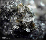 Eifel Mineralien Bellerberg Nephelin