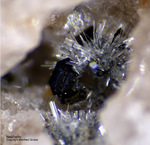 Eifel Mineralien Bellerberg Nephelin
