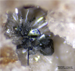Eifel Mineralien Bellerberg Nephelin