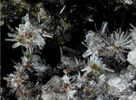 Eifel Mineralien Bellerberg Nephelin