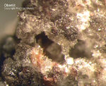 Eifel Mineralien Bellerberg Obertiit